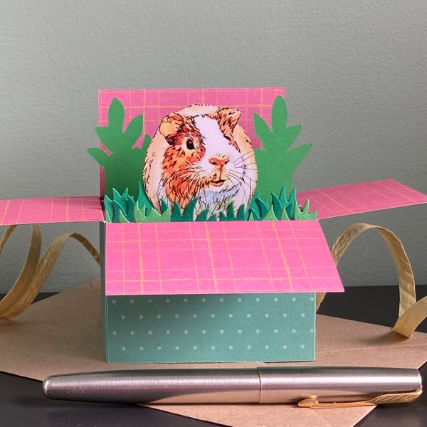 Guinea pig Box Card. Blank or Personalised Guinea Pig Card 3D gift card holder.