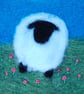 Sheep coaster - taken from my colourful artwork of sheep - Image 3