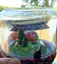 Upcycled vintage-inspired caravan terrarium 