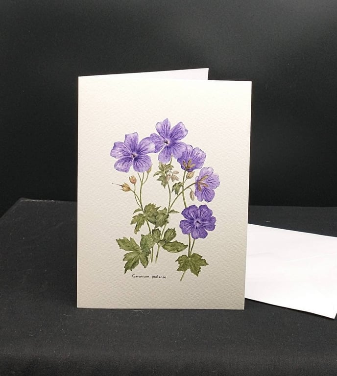 Geranium greetings card