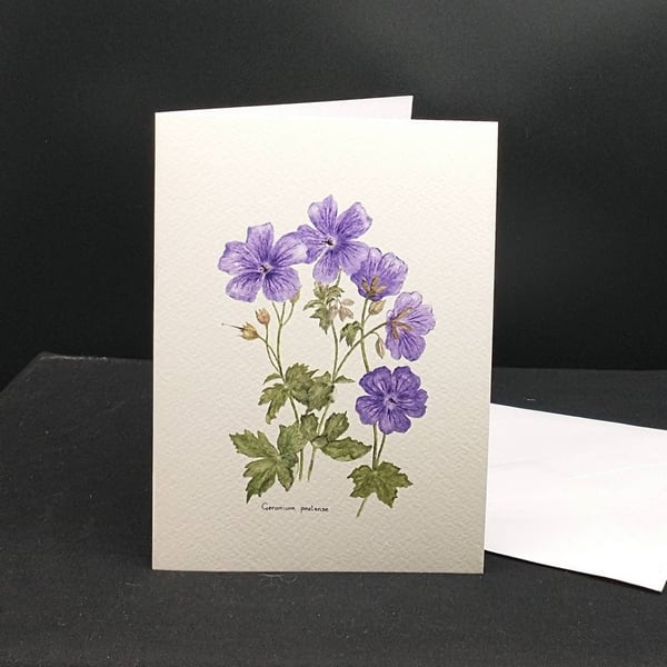 Geranium greetings card