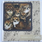 Sending you cuddles Chihauhau puppies greetings card
