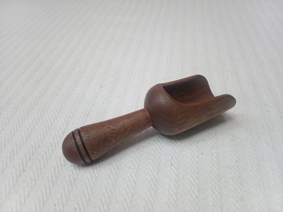 Scoop in Upcycled English Walnut for Tea Salt and Spice