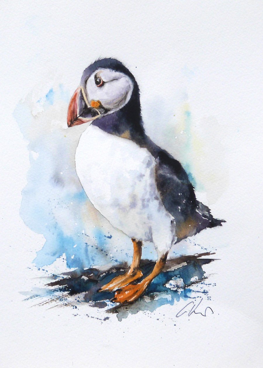 A Puffin, Professional Giclée Print.
