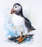 A Puffin, Professional Giclée Print. - Image 1