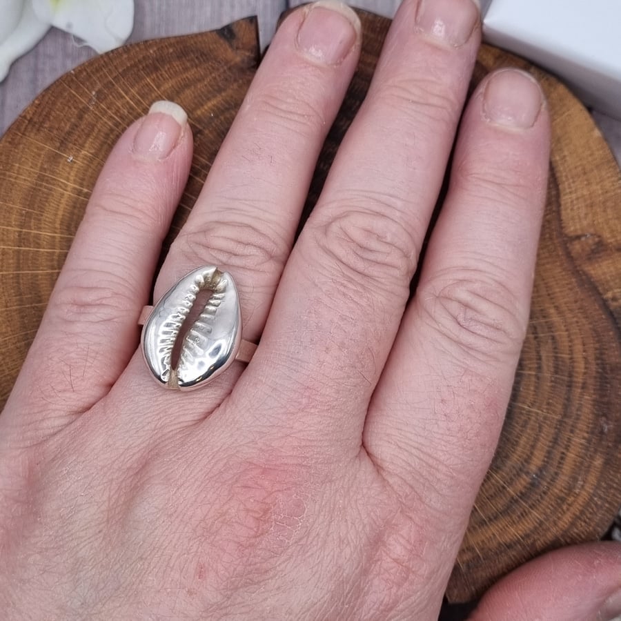 Real cowrie shell preserved in silver on ring, size O