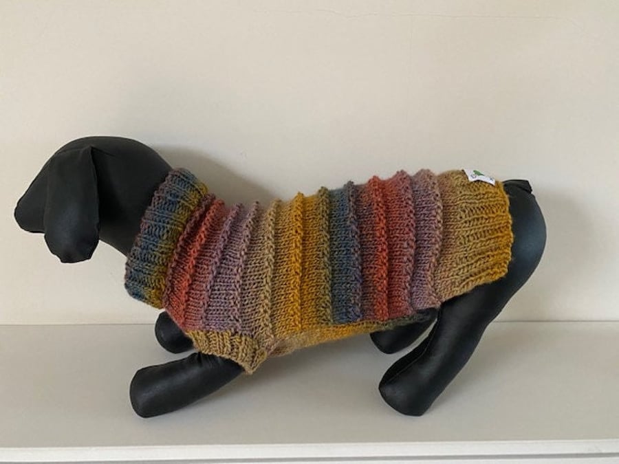 Dog Jumper - Ideal for a Miniature Dachshund or Small Dog, Hand Knitted item.