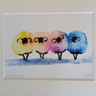 Just Four Ewe Limited Edition Sheep  Print