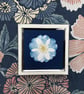 Pretty Botanical Gift, Cyanotype Original Photogram, Botanical Art. - Image 5