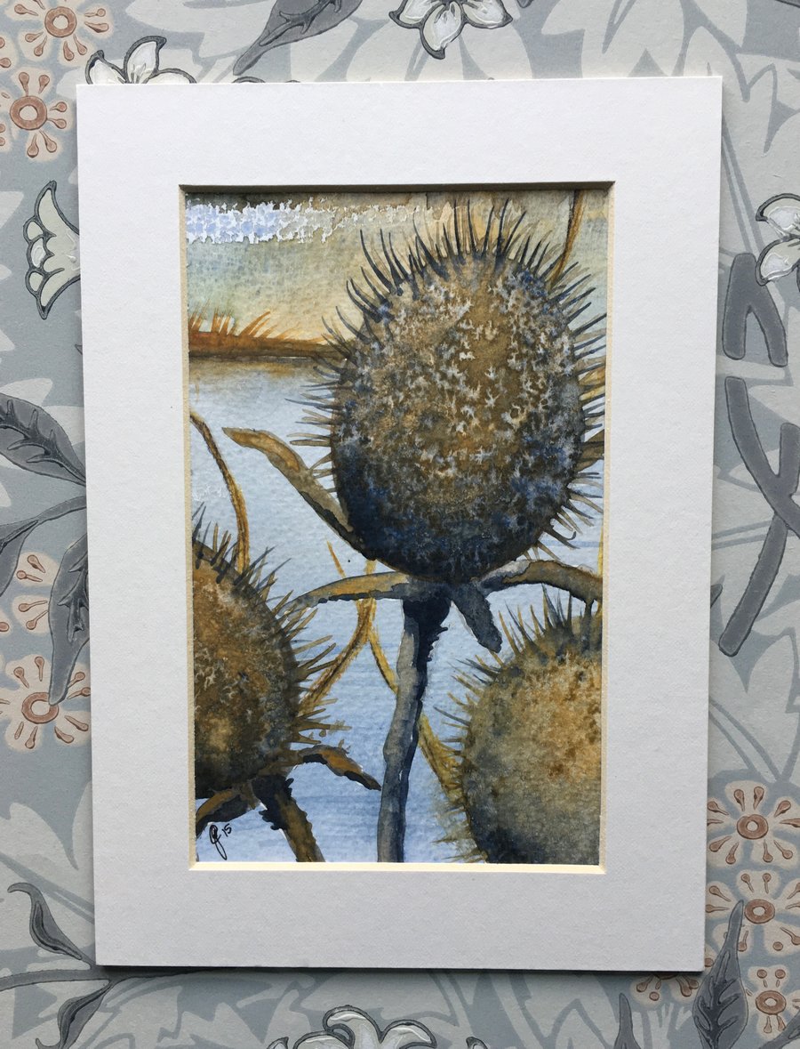 Teasels hand painted card