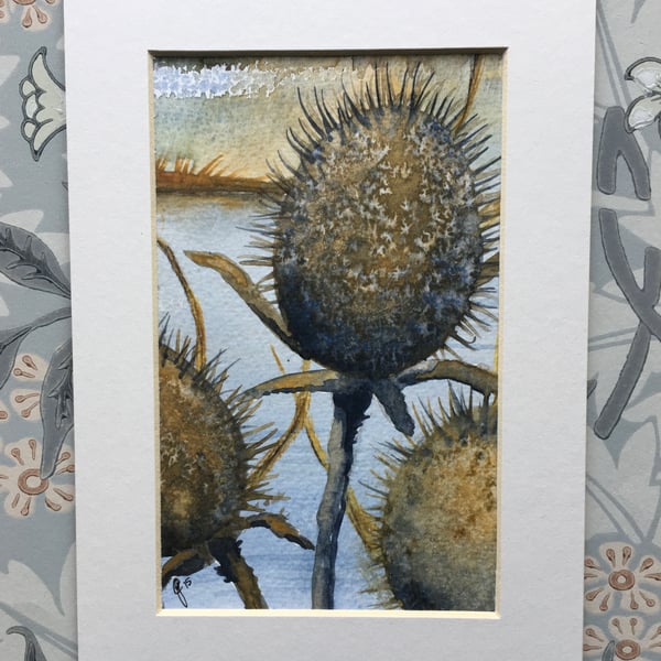 Teasels hand painted card