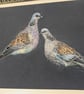 Two Turtle Doves, An A4 signed print of an original drawing - Image 5