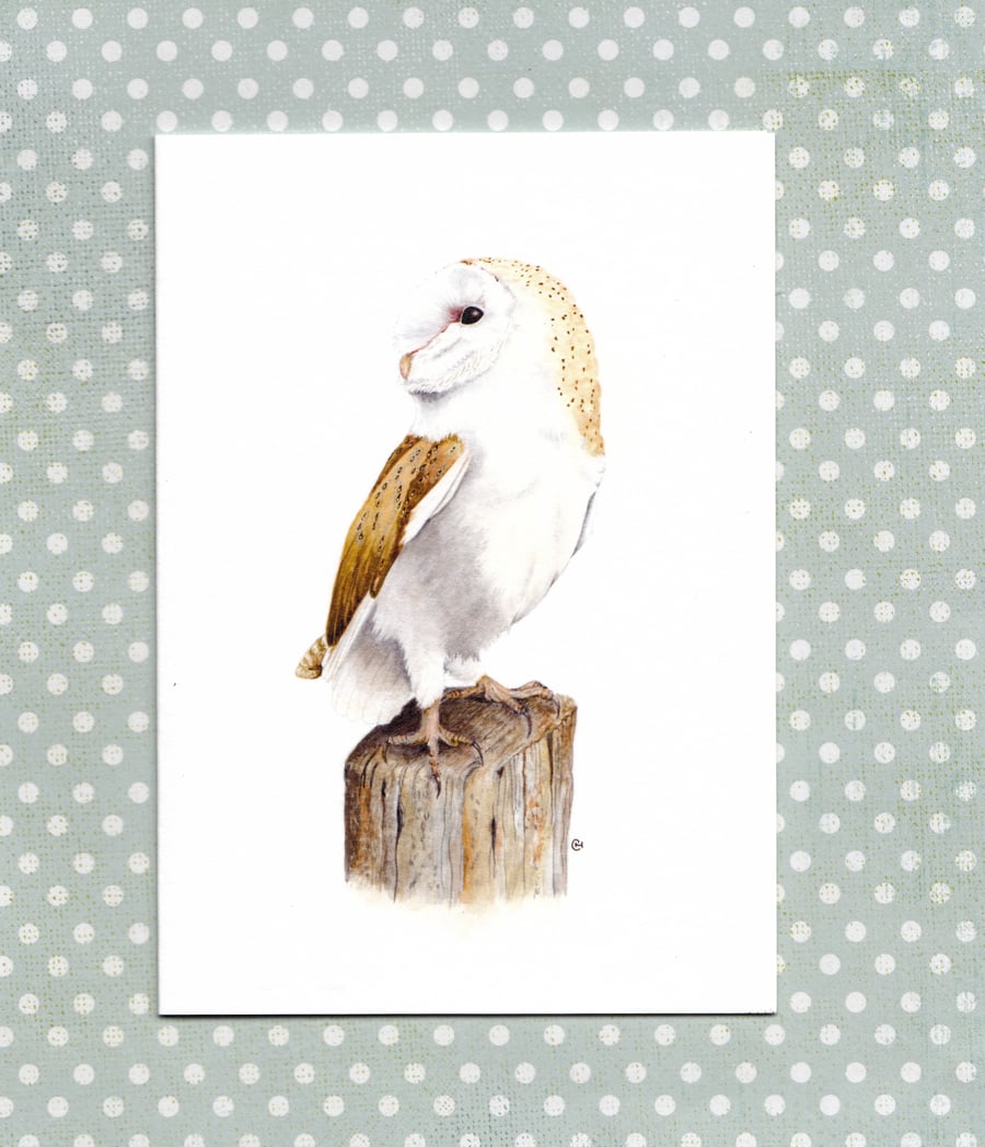 SALE - now 2.00 Barn Owl Wildlife Card