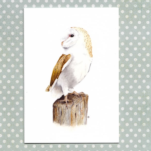 SALE - now 2.00 Barn Owl Wildlife Card