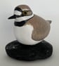 Little ringed plover - Image 3