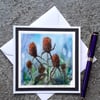 Handpainted Blank Card. Teasles. Letterbox Gift. Keepsake