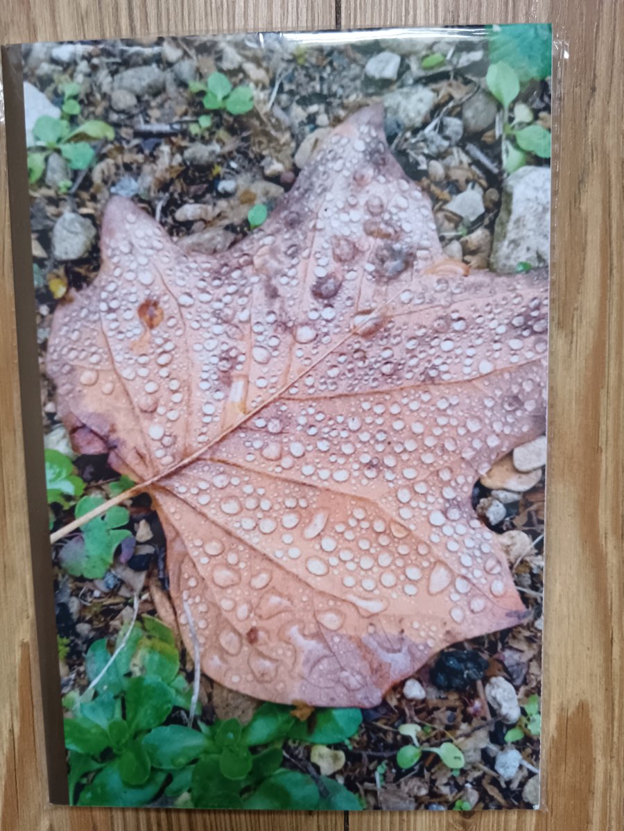 Brown Leaf with water droplets 120 lined pages notebook 