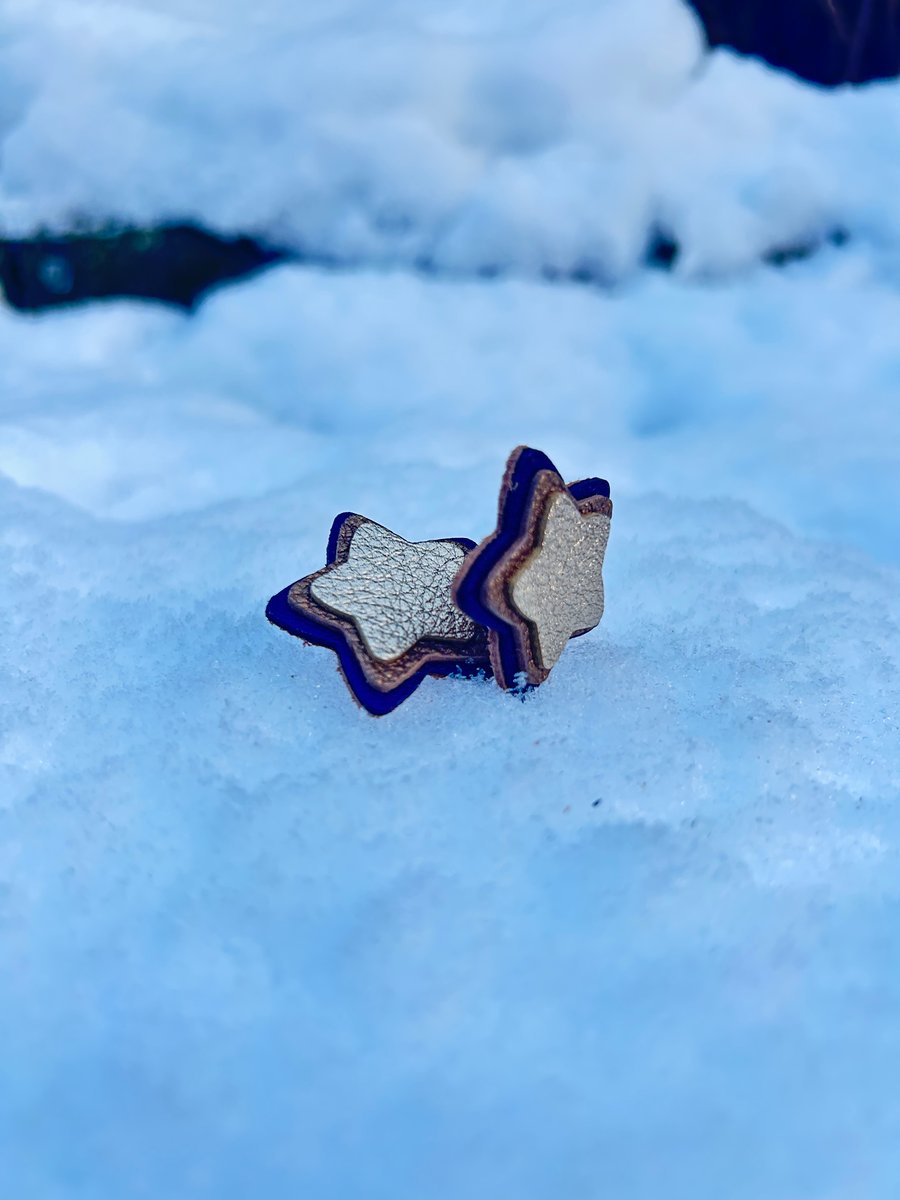 Star leather earrings 