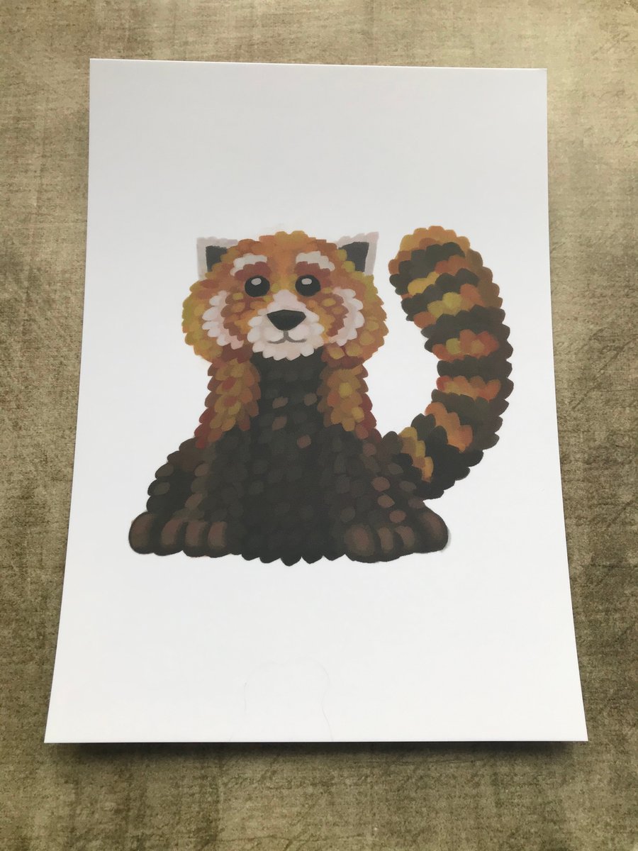 Red Panda Post Card