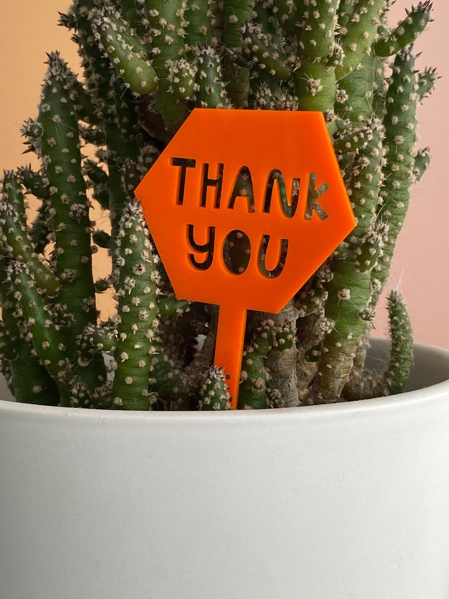 Thank you gift for gardener made in Yorkshire, Plant lover plant marker, indoor