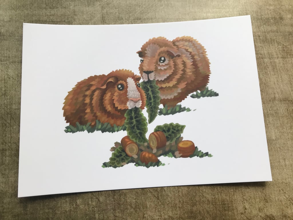Guinea Pig Post Card