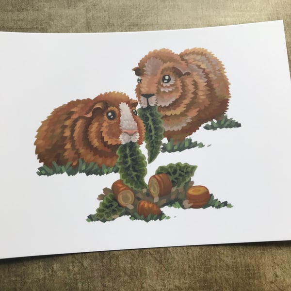 Guinea Pig Post Card