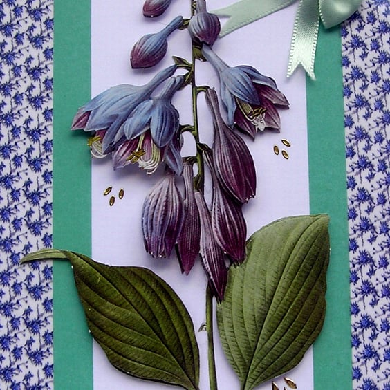 Blue Hosta Flower - Hand Crafted 3D Decoupage Greeting Card - Blank 2840