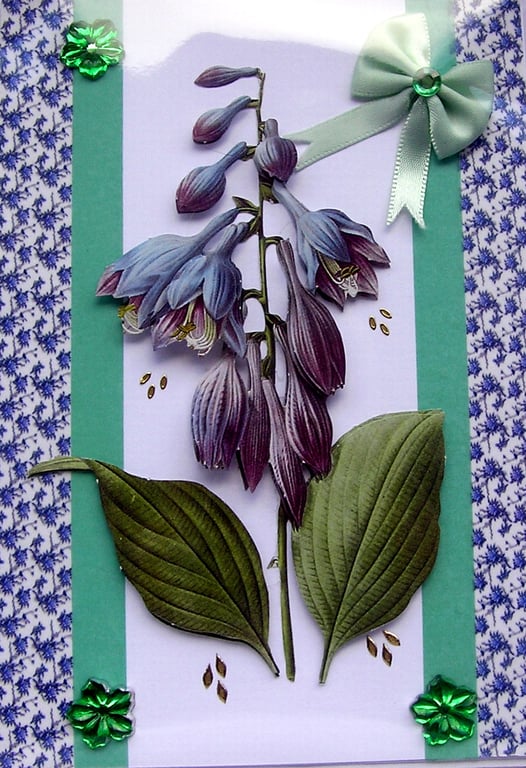 Blue Hosta Flower - Hand Crafted 3D Decoupage Greeting Card - Blank 2840