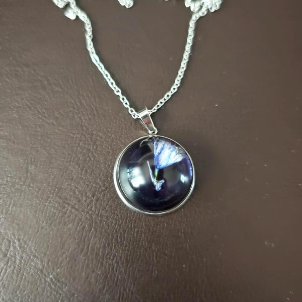 Shopitem
