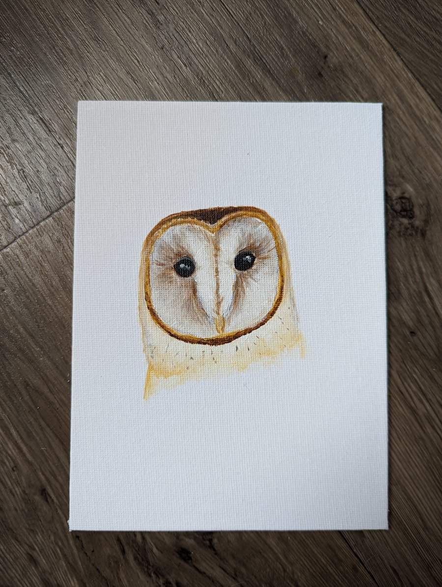 Barn Owl Portrait Painting