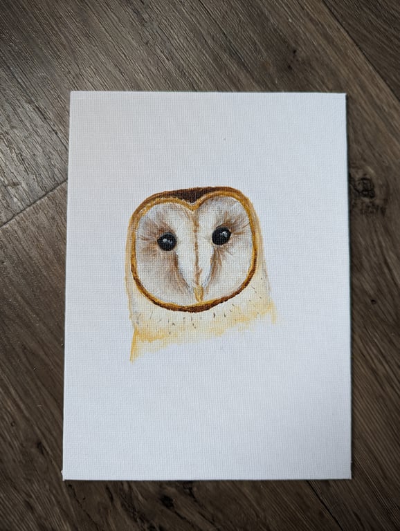 Barn Owl Portrait Painting