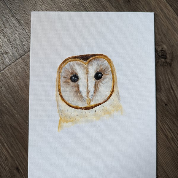 Barn Owl Portrait Painting