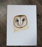 Barn Owl Portrait Painting