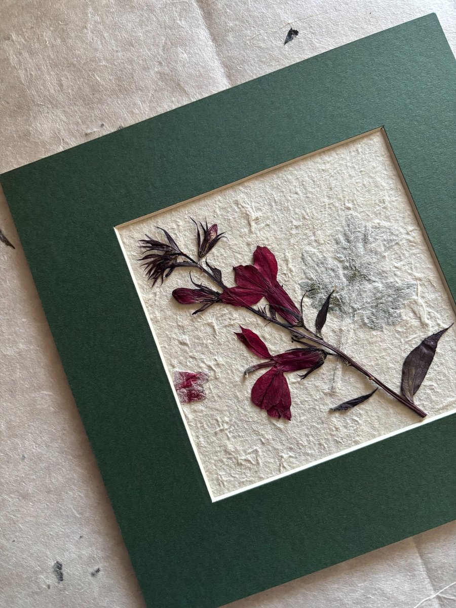 Image of Original Floral Art Featuring Pressed Flowers, Green Mount