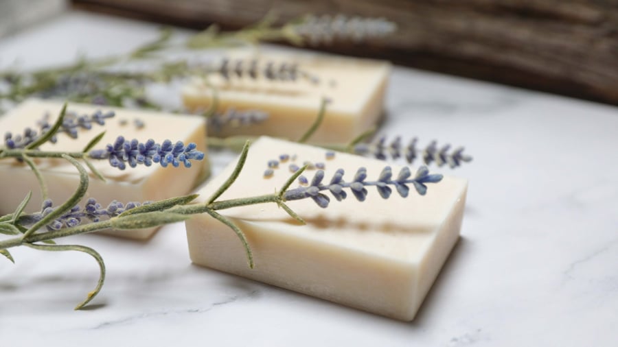 Lavender goats milk soap