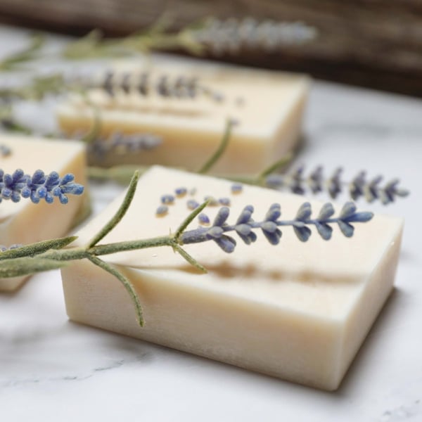 Lavender goats milk soap