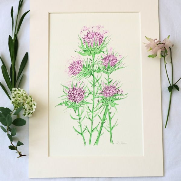 Thistle hand-painted original watercolour painting A4 mounted