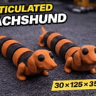 Articulated Dachshund - 30 - 125 - 35mm