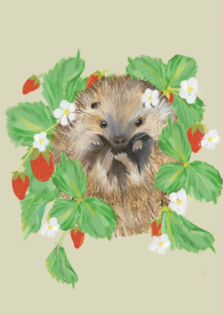 Wildlife Art Print Hedgehog