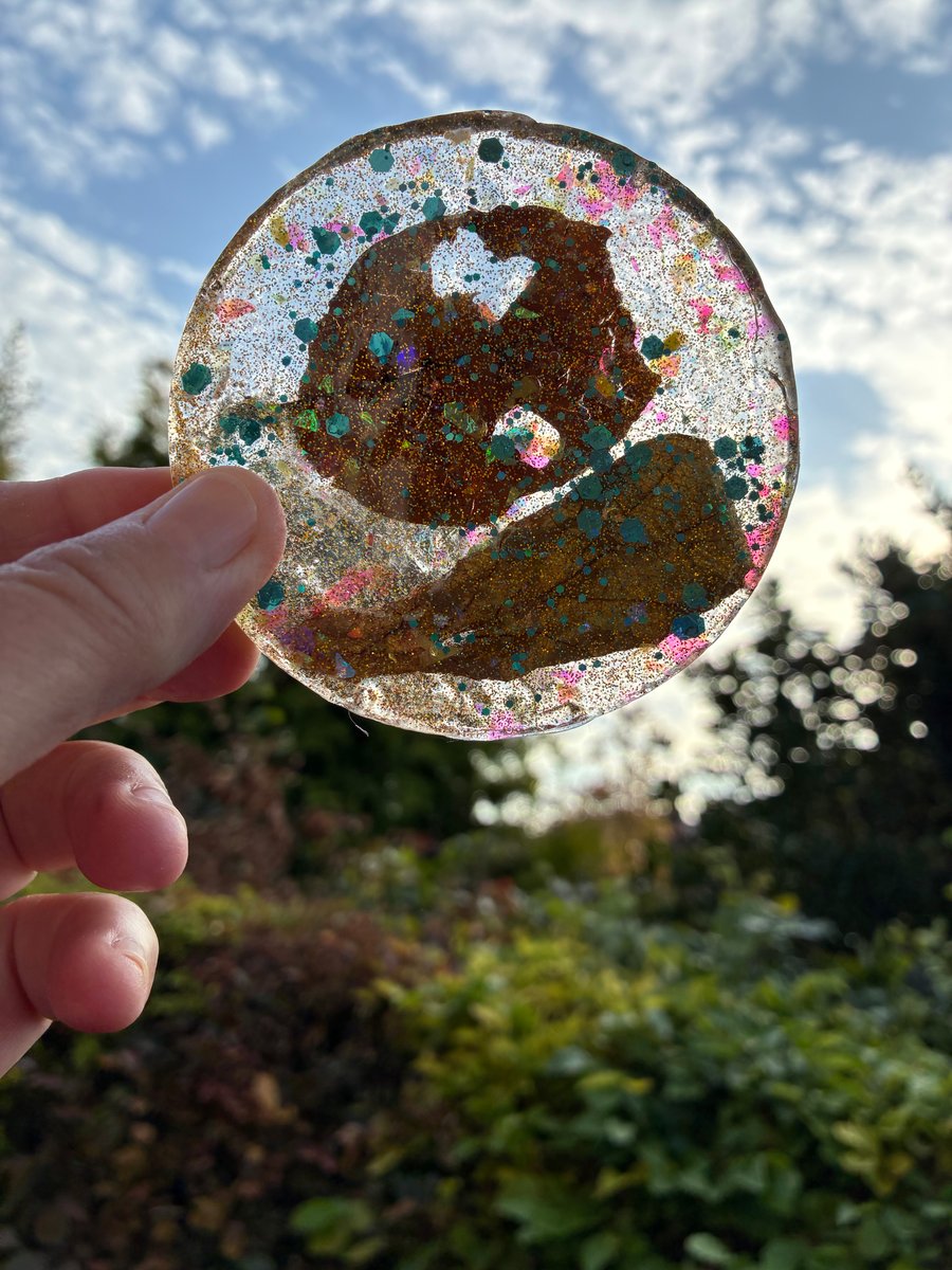 Set of two round resin coasters with dried leaves and glitter
