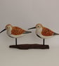 Summer dunlin duo - Image 1