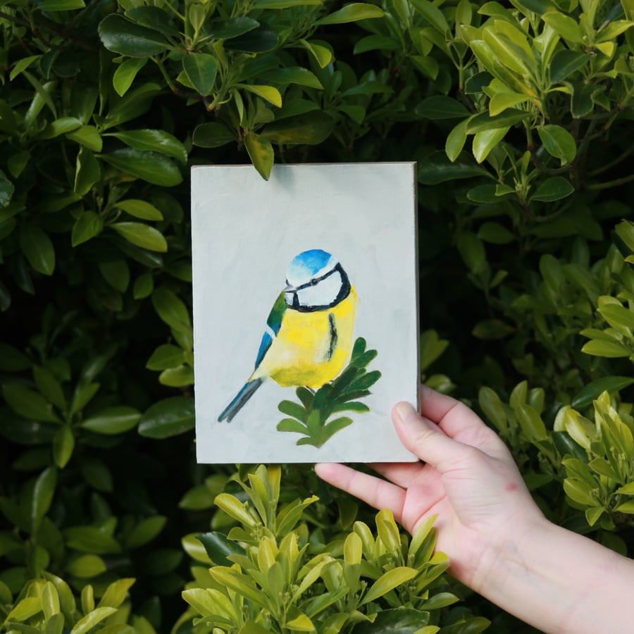 Blue Tit - original acrylic painting