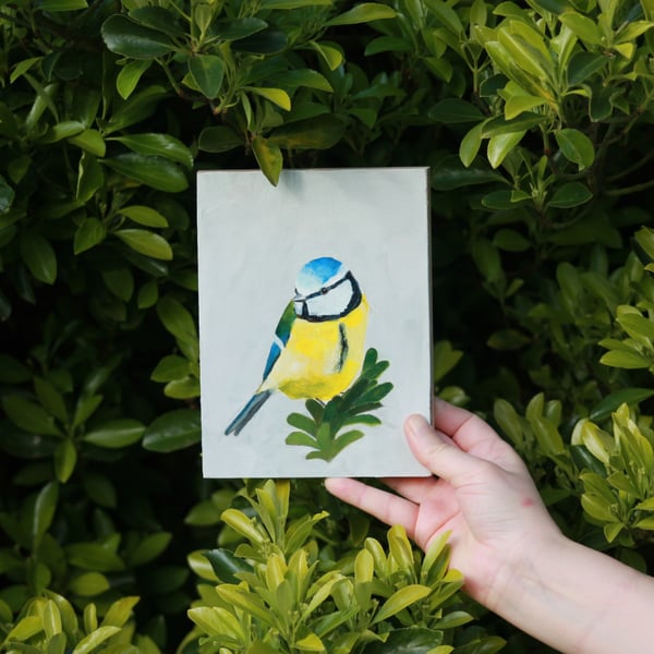 Blue Tit - original acrylic painting
