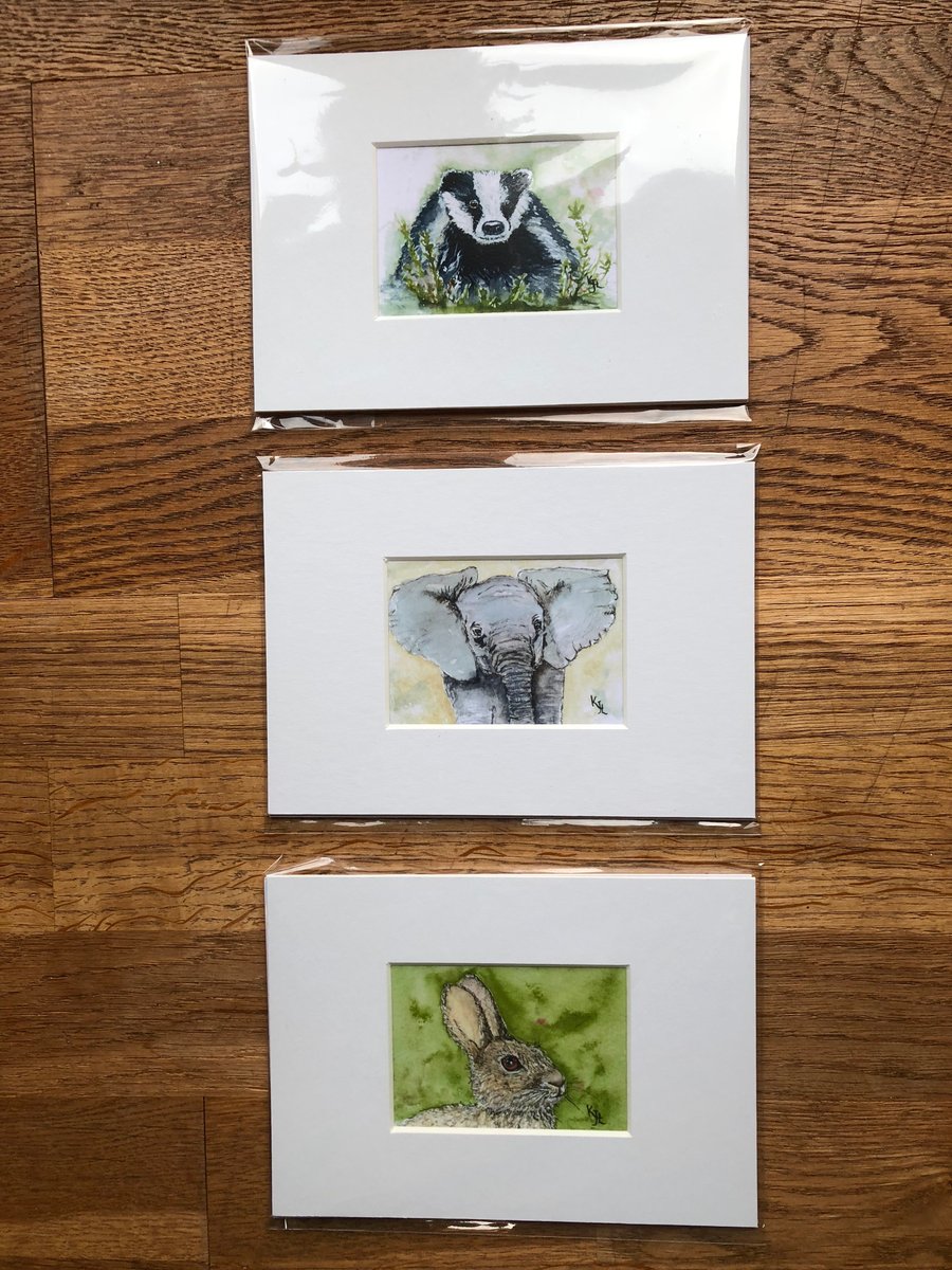 3 Mounted prints of miniature watercolours - FREE UK POST