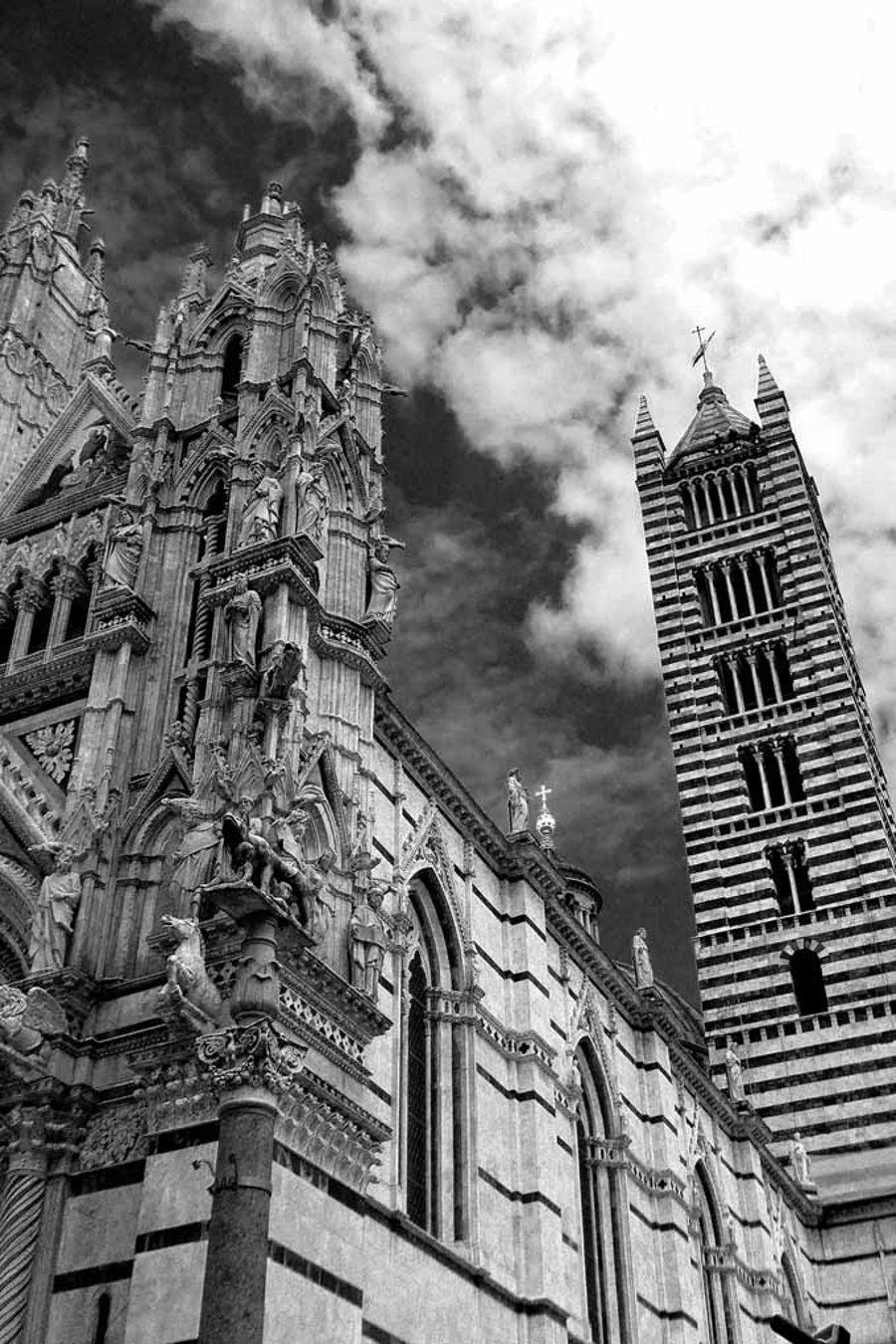 Sienna Cathedral Tuscany Italy Photograph Print