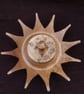 LIDDED STAR DISH CARVED CONTAINER - Image 2