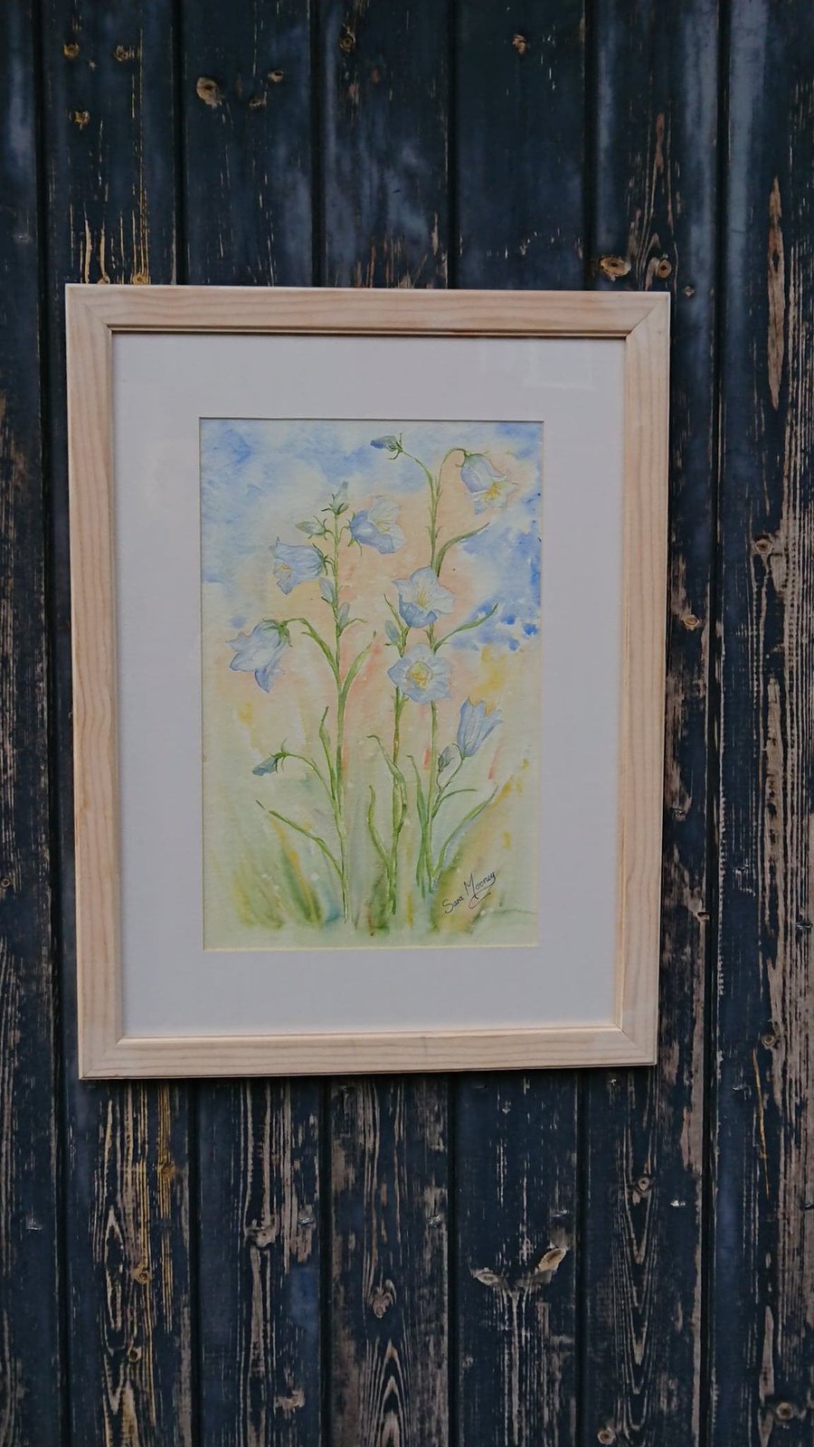 Blue harebells in Norfolk watercolour painting  