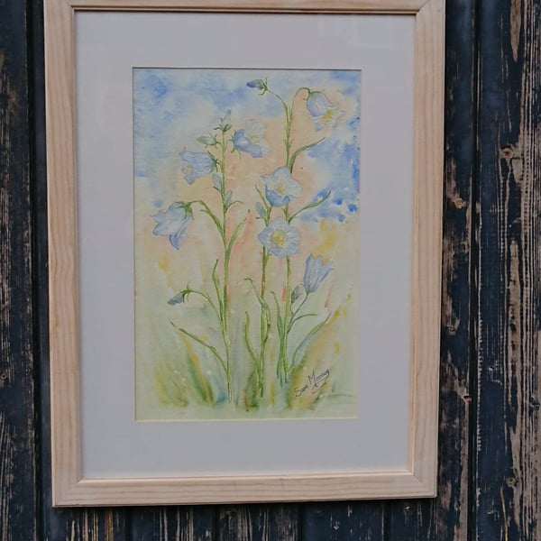 Blue harebells in Norfolk watercolour painting  