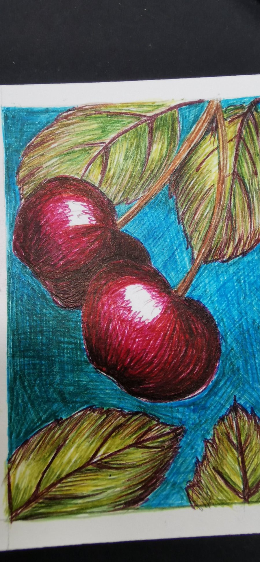 ACEO card "Cherry Ripe"