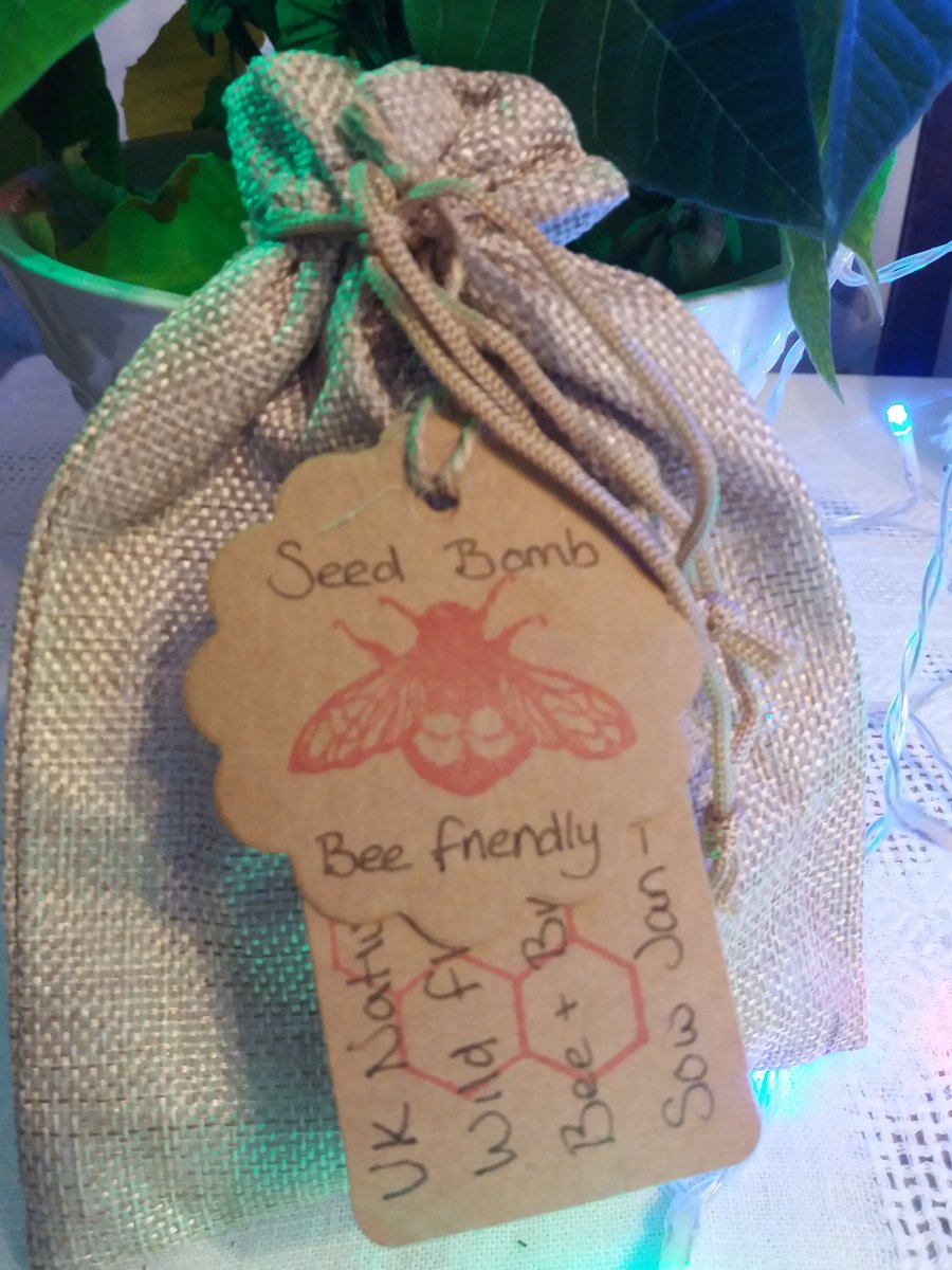 Seed Bombs, for bees and butterflies